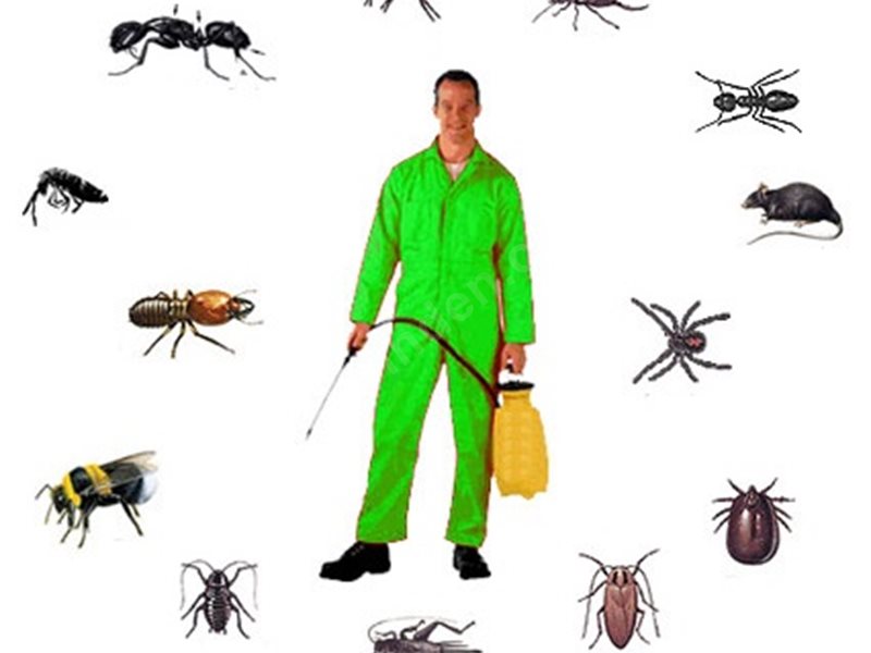 Çarşıbaşı Böcek İlaçlama