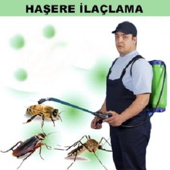 Çarşıbaşı Böcek İlaçlama